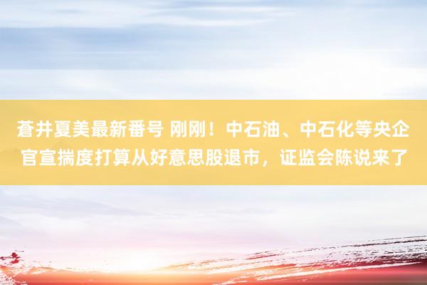 蒼井夏美最新番号 刚刚！中石油、中石化等央企官宣揣度打算从好意思股退市，证监会陈说来了