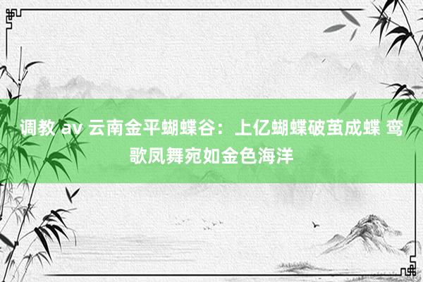 调教 av 云南金平蝴蝶谷：上亿蝴蝶破茧成蝶 鸾歌凤舞宛如金色海洋