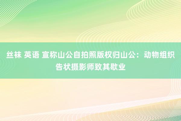 丝袜 英语 宣称山公自拍照版权归山公：动物组织告状摄影师致其歇业