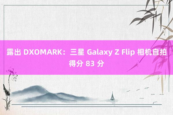 露出 DXOMARK：三星 Galaxy Z Flip 相机自拍得分 83 分