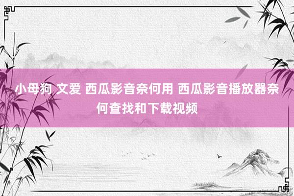 小母狗 文爱 西瓜影音奈何用 西瓜影音播放器奈何查找和下载视频